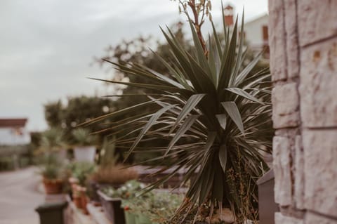 Perla Apartments Apartment in Poreč