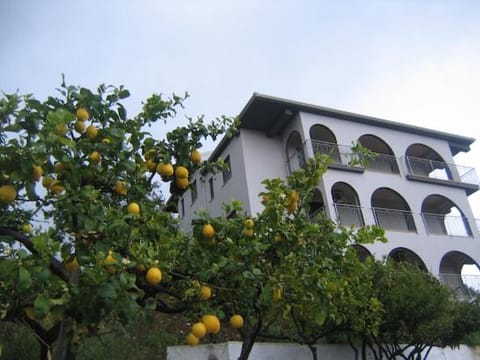 Olimpo Pousada com café da manhã (B&B) in Diamante