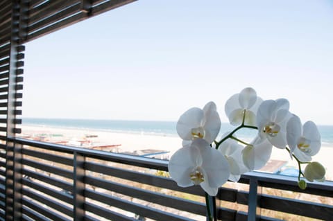 Day, Natural landscape, View (from property/room), Balcony/Terrace, Sea view