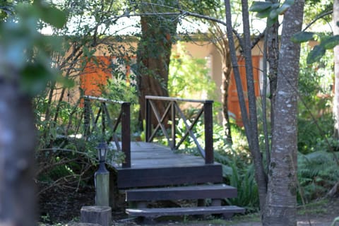 Andelomi Forest Lodge Bed and Breakfast in Eastern Cape