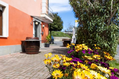 Property building, Spring, Day