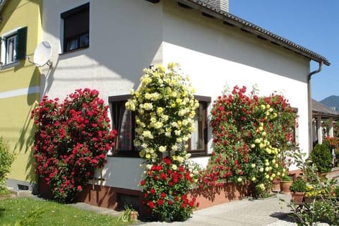 Property building, Facade/entrance, Garden