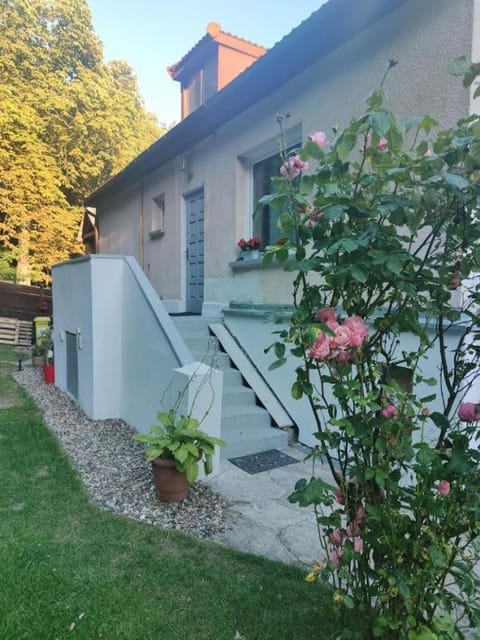Property building, Spring, Day, Garden, Garden view