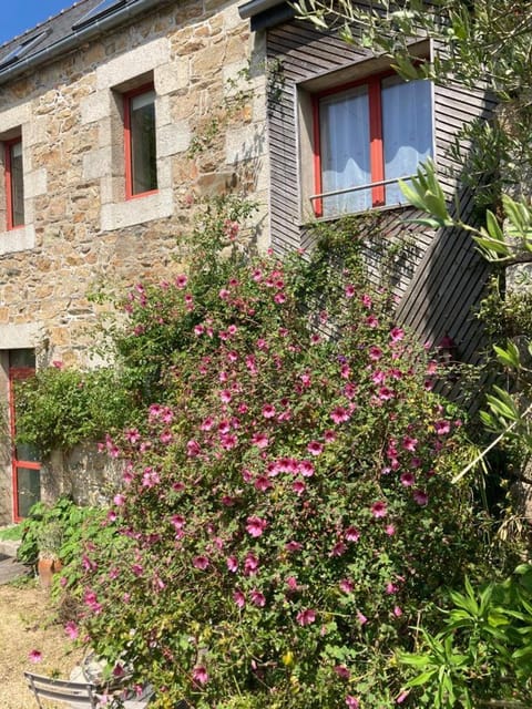 Facade/entrance, Garden