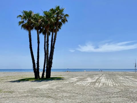 Natural landscape, Beach