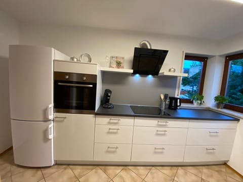 Elviras Apartment Condo in Singen