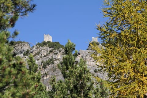 Day, Hiking, Cycling, On site, Sports