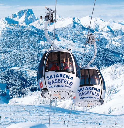 Skiing, Area and facilities