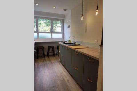 Kitchen or kitchenette, minibar, pet friendly, stove