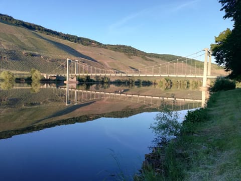 Natural landscape, River view