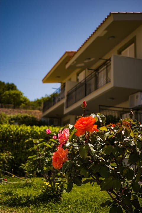 Property building, Garden