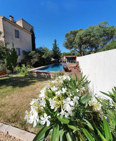 Garden, Swimming pool