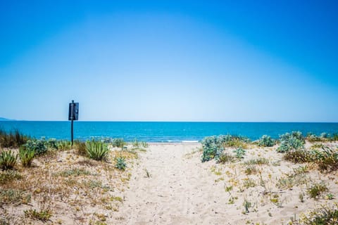 Summer, Beach