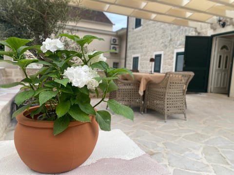 Patio, Garden, Seating area, Garden view