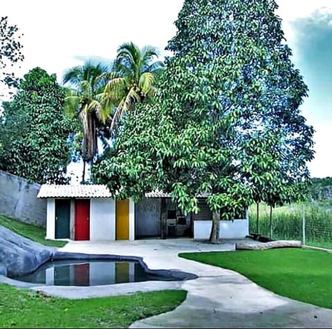 Patio, Garden, Garden view