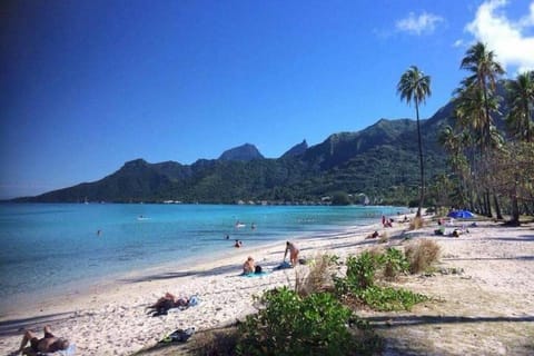 Fare Totara, jardin verdoyant House in Moorea-Maiao