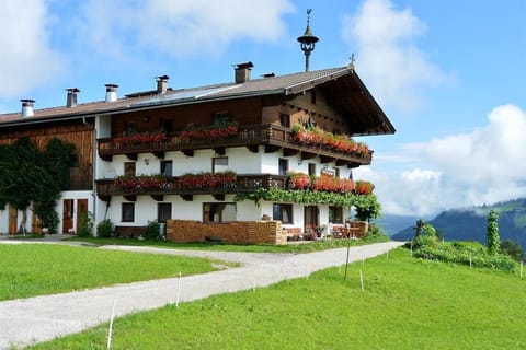 Property building, Summer, Garden