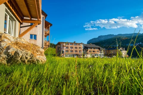 Natural landscape, Summer, Mountain view, Area and facilities