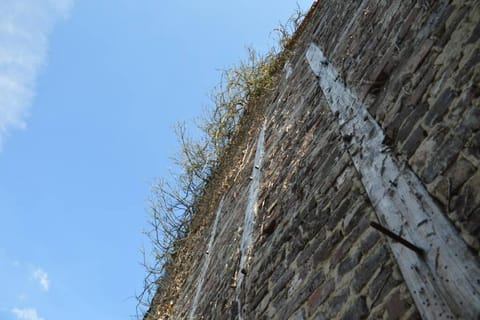 Ganze Wohnung - schönes und helles Loft in Kreuzau Apartment in Rhineland-Palatinate