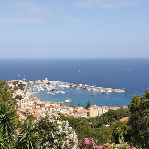 Alta Marina Apartment in Marciana Marina