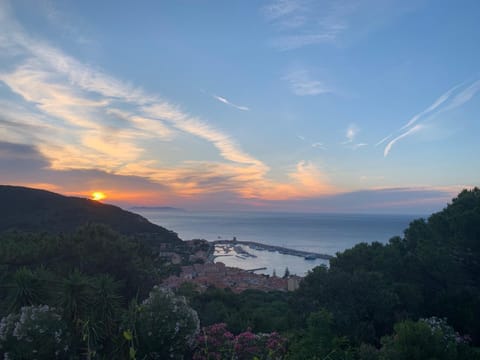 Alta Marina Apartment in Marciana Marina