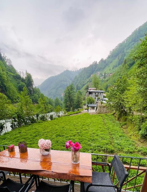 Vagona Tiny House Resort in Georgia