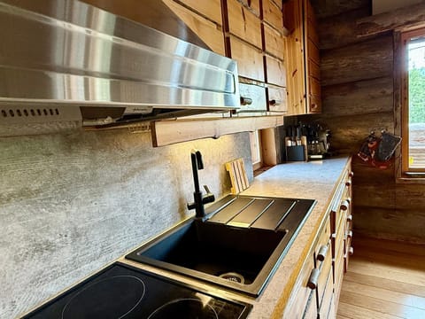 Kitchen or kitchenette, Food and drinks, dishwasher, oven, stove