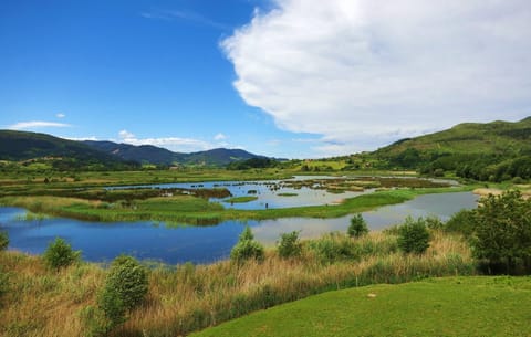 Nearby landmark, Spring, Natural landscape, View (from property/room), Lake view, Landmark view, Mountain view, River view