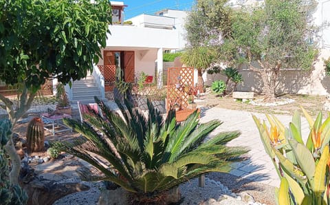 Property building, Garden, Inner courtyard view