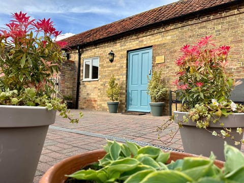 Property building, Patio, Garden