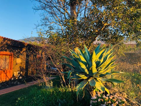 Casa Rural Doña Herminda Maison in La Matanza de Acentejo