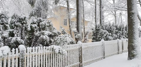 Winter, Street view