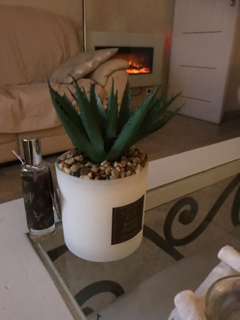 Le jardin Apartment in Aix-en-Provence