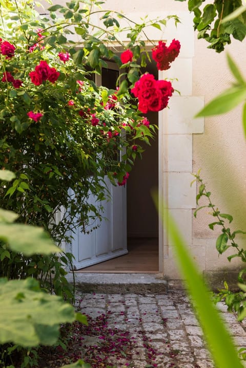 La Lirosane, 3 studios, 3,7km du Zoo, Centre-ville Apartment in Centre-Val de Loire