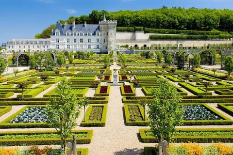 AMALOUYSE Studio de charme au cœur des châteaux de Loire Apartment in Centre-Val de Loire