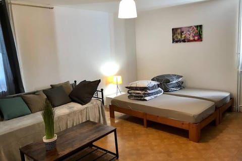 Appart T2 spacieux proche Gare TGV Apartment in Le Mans