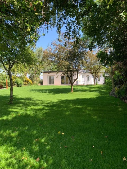 Garden, Garden view, Garden view