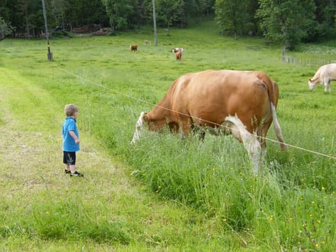 Bognerlehen Katharina Kurz Farm Stay in Berchtesgadener Land