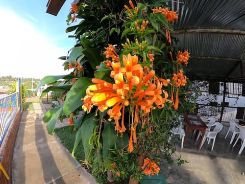 Garden, View (from property/room), Seating area, Dining area, Area and facilities