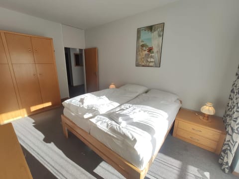 Apartment Allod Park Haus C E03 by Interhome Apartment in Davos