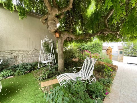 Spring, Garden, Garden view, sunbed