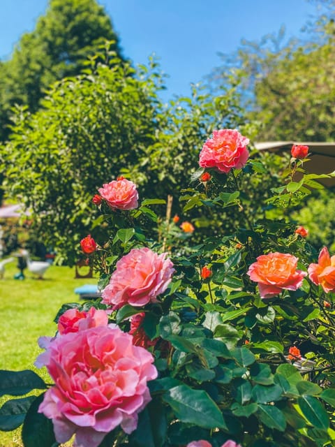 Garden, Garden view