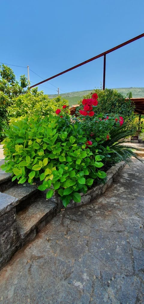 Villa Sunrise Country House in Kotor Municipality