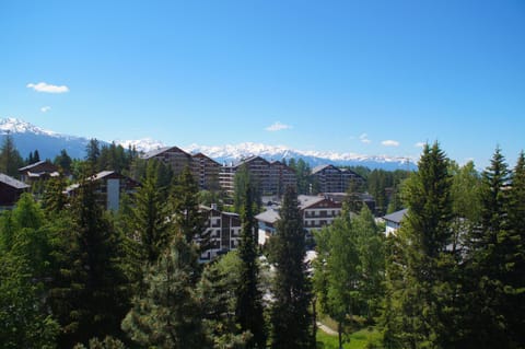 Central for up to 7 guests, Flaminia Condo in Crans-Montana