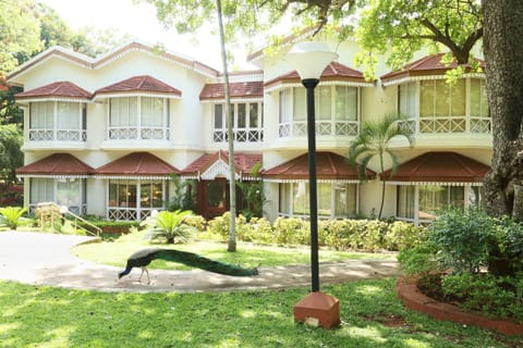 Property building, Garden, Garden view