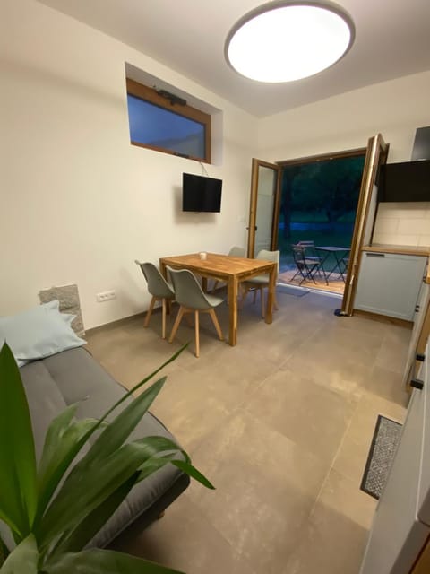 Living room, kitchen