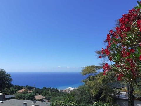Natural landscape, Sea view