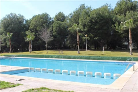 Day, Garden, Garden view, Pool view, Swimming pool