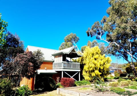 Native Garden Retreat Haus in Gisborne