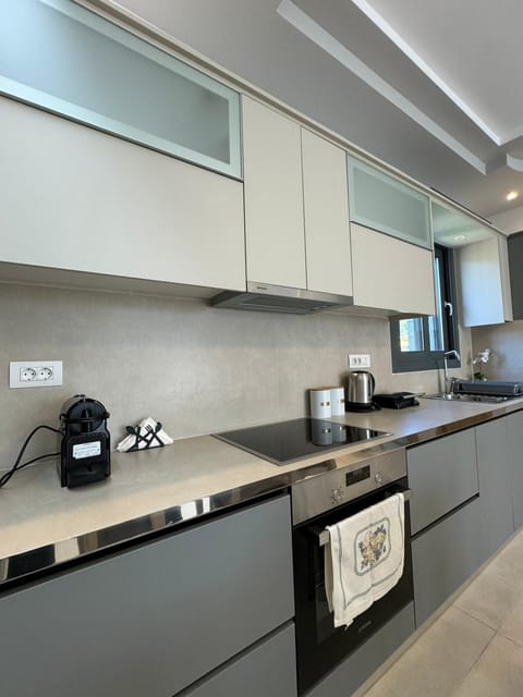 Coffee/tea facilities, Kitchen or kitchenette, dishwasher, minibar, stove, toaster